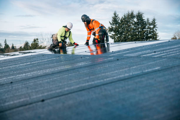 Trusted Metal Roofing service in Lake George, CO - Ben Roofing and Steel LLC